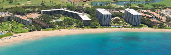 Maui Beach & Hotels